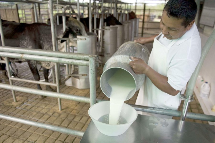 FOTO ARCHIVO EN BAJA. La industria l&aacute;ctea se desplom&oacute; un 16% en enero.