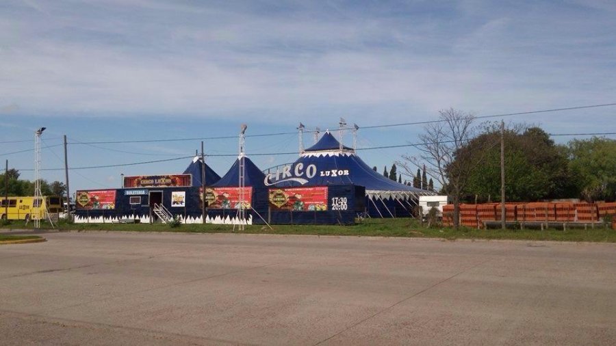 archivo Dante Echegaray