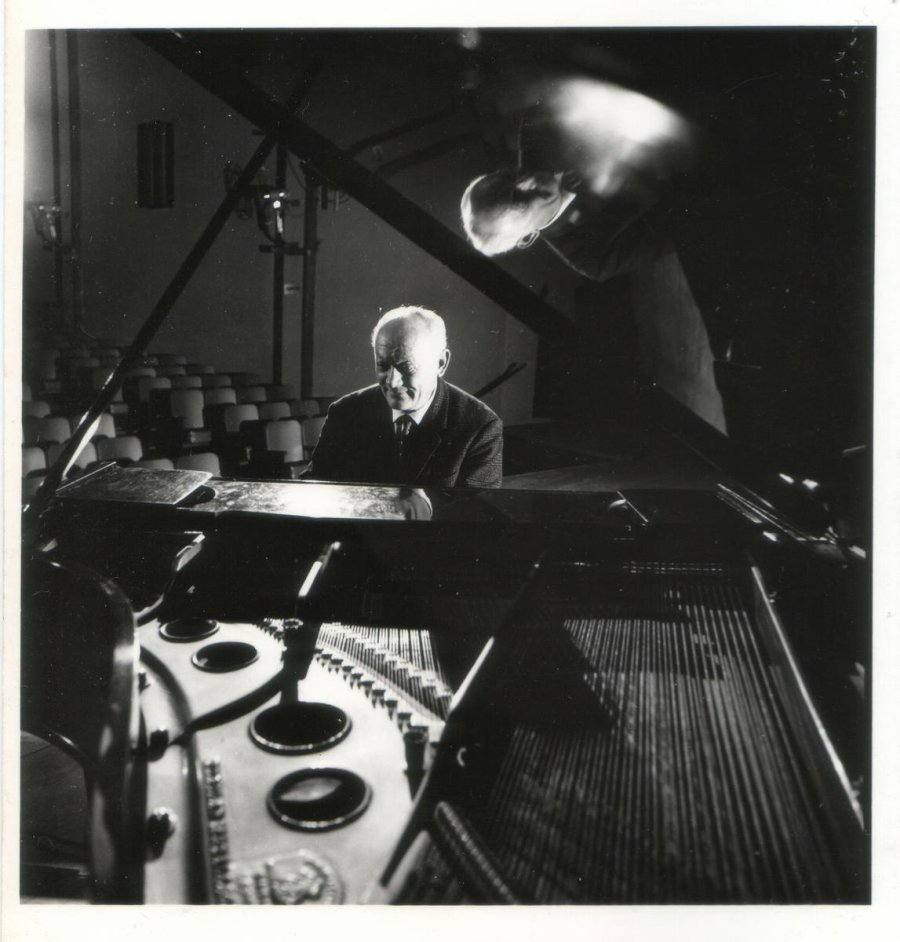 archivo Familia Pignoni