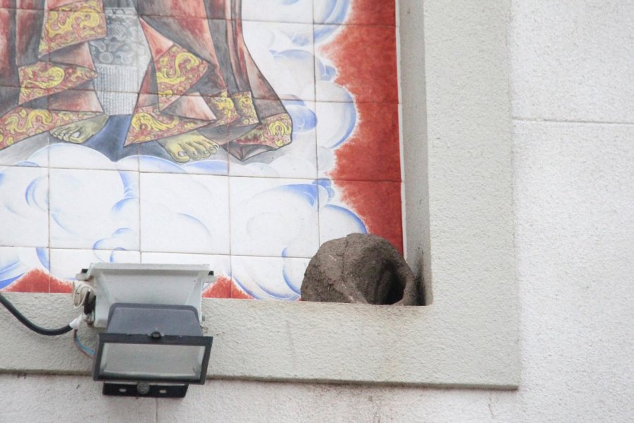 FOTO J. BARRERA INSISTENTE. Por tercera vez el hornero hizo aqu&iacute; su casita.