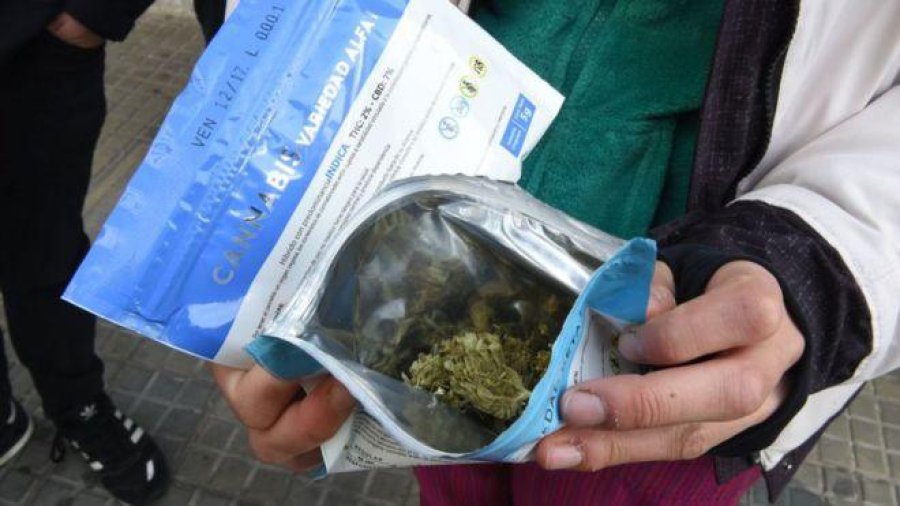 FOTO AICA MARIHUANA./ Opinan sobre la legalizaci&oacute;n.