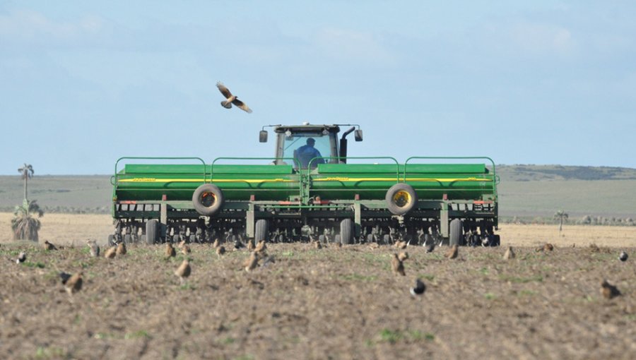 SEQUIA. La falta de lluvias atenta contra rindes y extensión sembrada. FOTO ARCHIVO SOJA DE SEGUNDA. La siembre fue menor a la estimada. FOTO ARCHIVO
