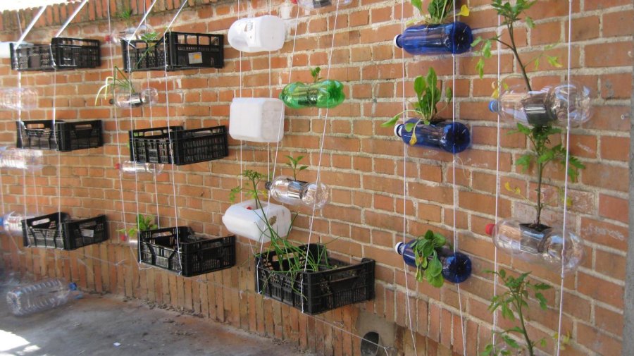 FOTO ARCHIVO HUERTAS VERTICALES. Dependen del compost.