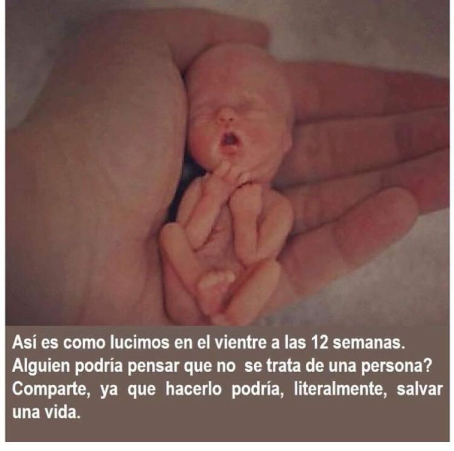 12 SEMANAS. &iquest;Quien puede negar que hay vida?