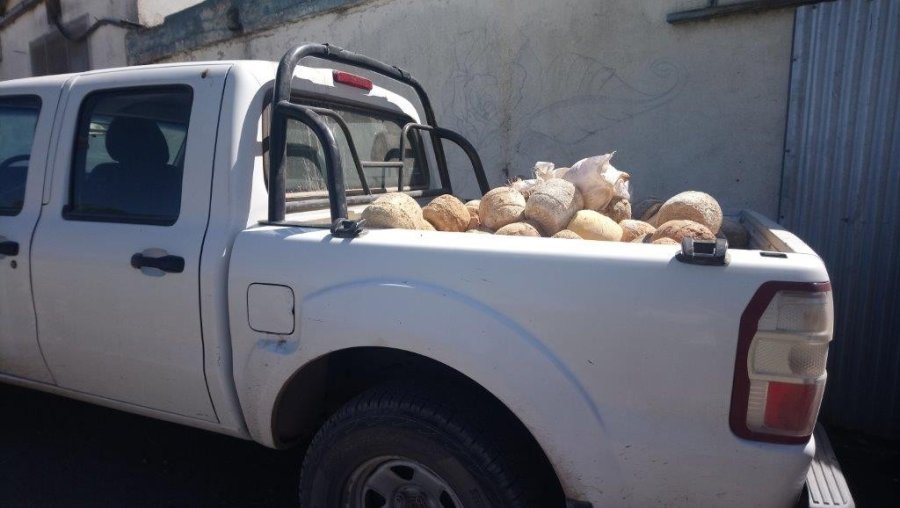 FOTO MINISTERIO DE AGROINDUSTRIA MERCADERIA./ Interdictaron más de 88.000 kg. de productos lácteos.