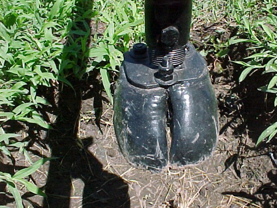 SLT-FAUBA PISOMETRO./ ¿Cómo responden las plantas ante una inundación?