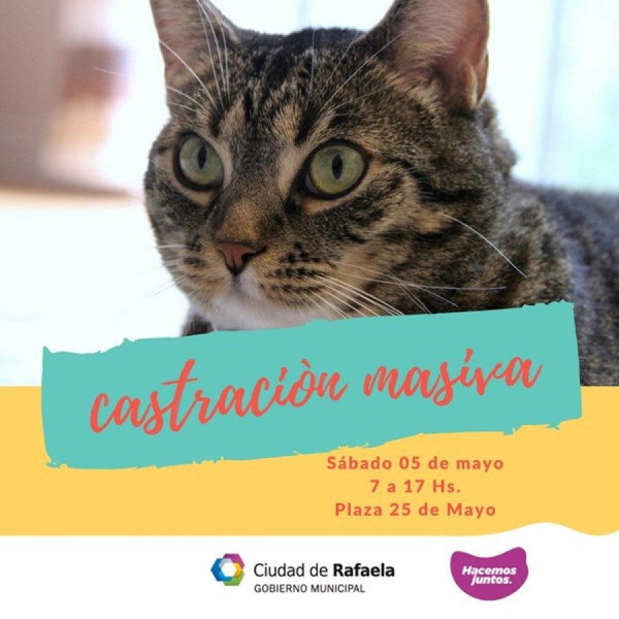 FOTO SCP// CASTRACION MASIVA./ Estaba programada para hoy.