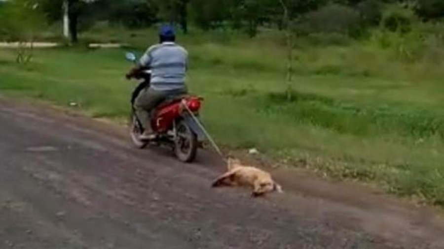 FOTO INTERNET