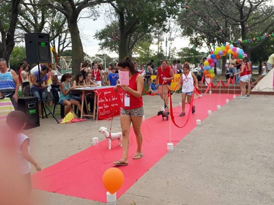 FOTO PRENSA MUNICIPAL FLACOS. Los perros sin tanto marketing ser&aacute;n los "modelos" esta tarde.
