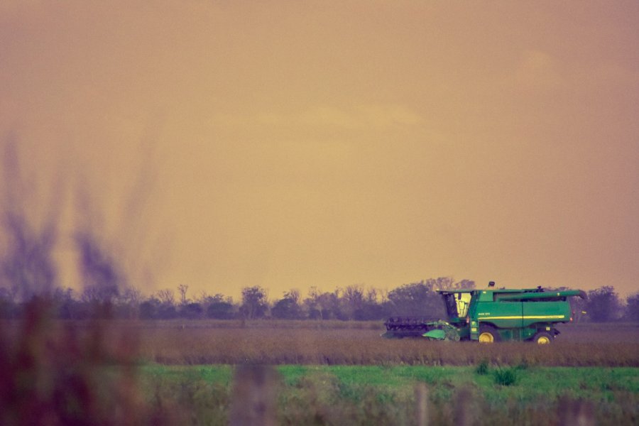 FOTO G. SANCHEZ ACTIVIDAD. Lote de soja de primera, equipo y cosechadora en plena trilla, en un campo de Presidente Roca.