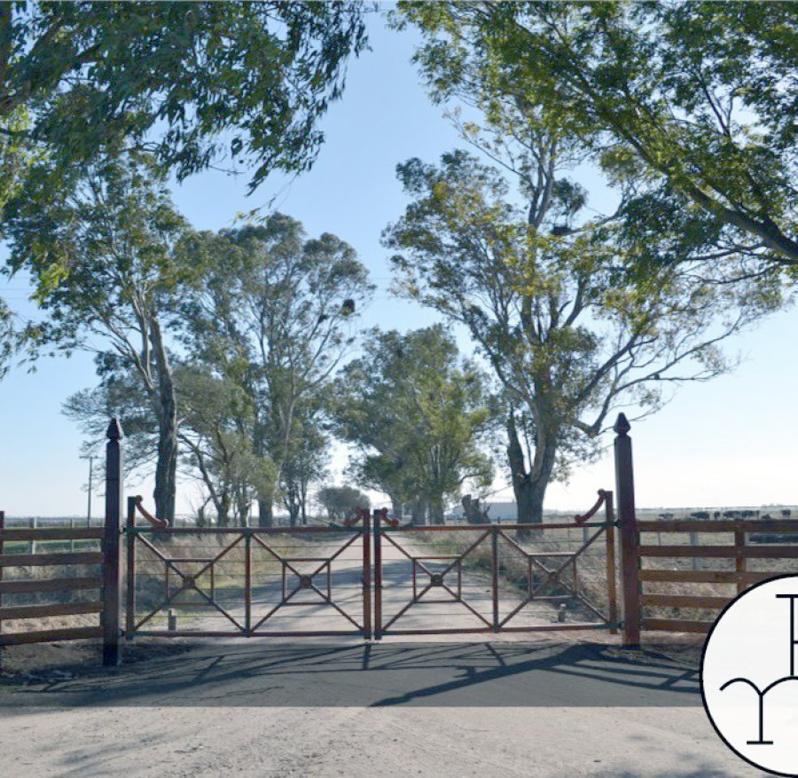 FOTO ELRINCONDELNORTE.COM.AR INGRESO./ Plantar árboles en los establecimientos agropecuarios.