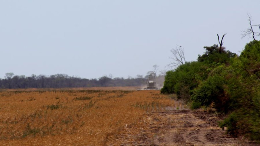 FOTO SLT TRABAJO A CAMPO. En el interior de la provincia de Chaco.