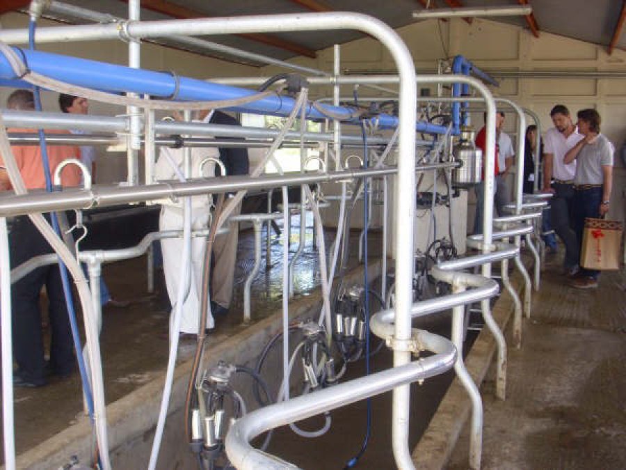 FOTO UNL LEHCERIA./ Desarrollan una app para calcular costos.