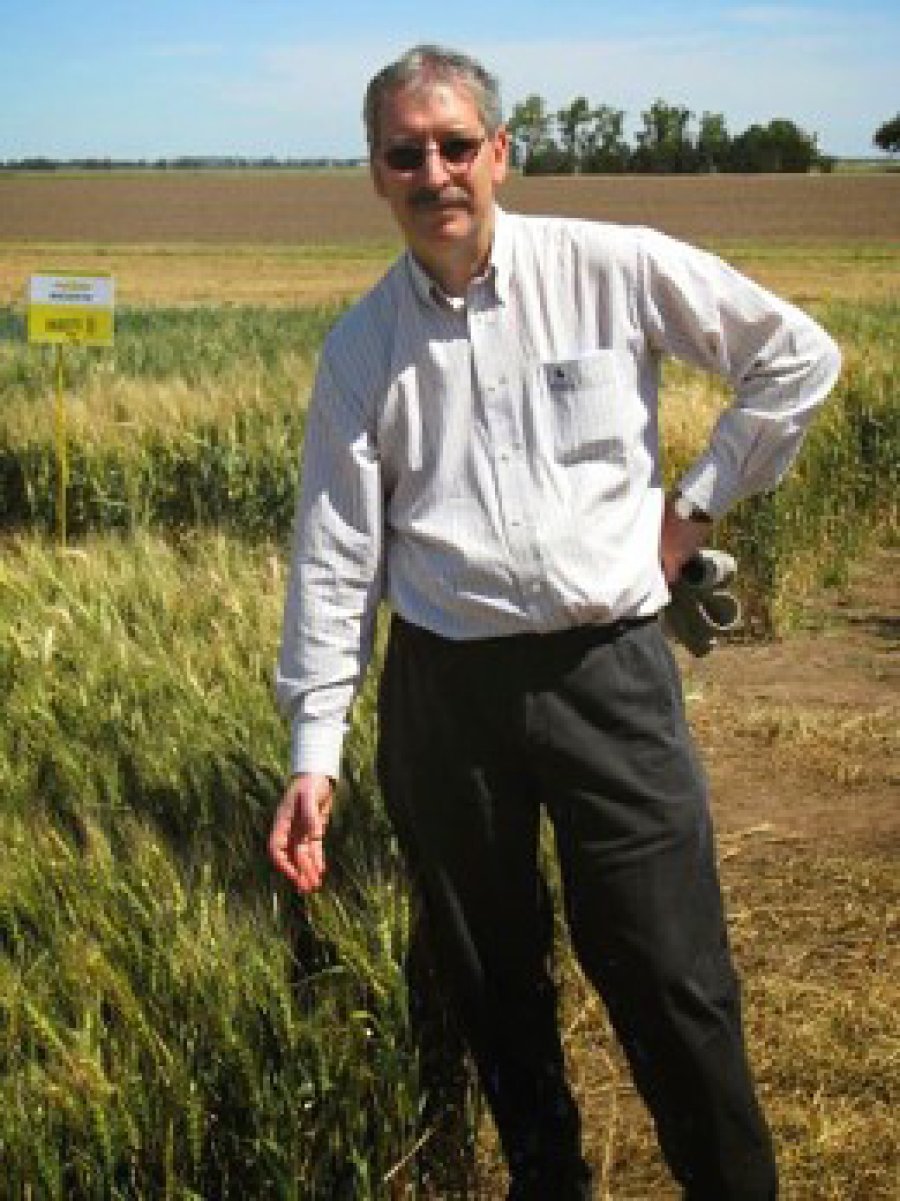 FOTOS SLT-FAUBA COSECHA./ Cómo mejorar la visibilidad de nuestro cereal en el exterior.  MIRALES./ Docente e investigador.