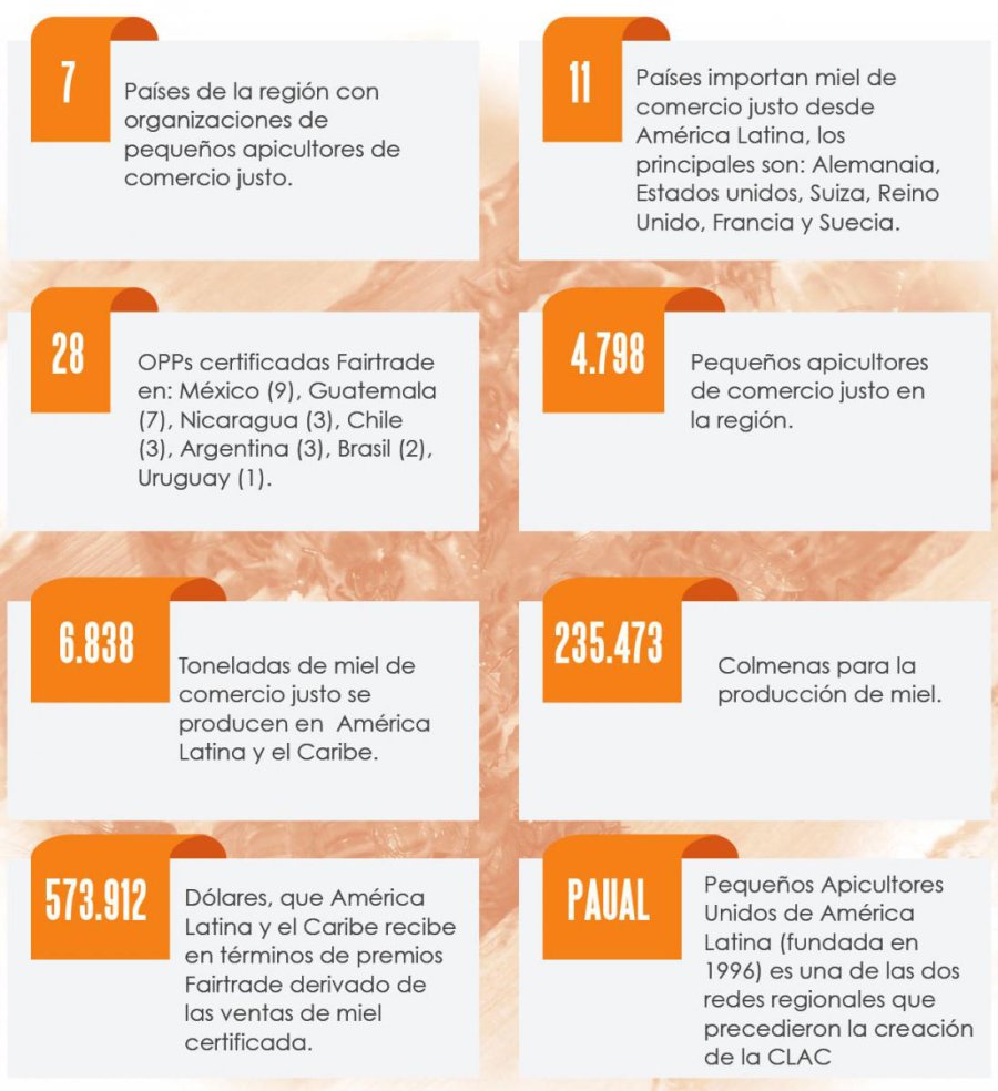 INFOGRAFIA INTA RAFAELA