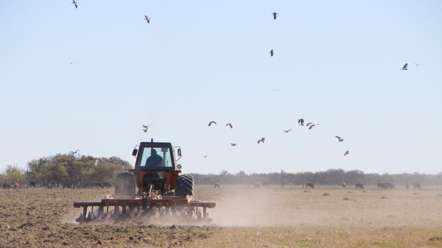 FOTO IP EMERGENCIA./ Los productores que quieran obtener los beneficios tendrán tiempo hasta el 31 de julio.