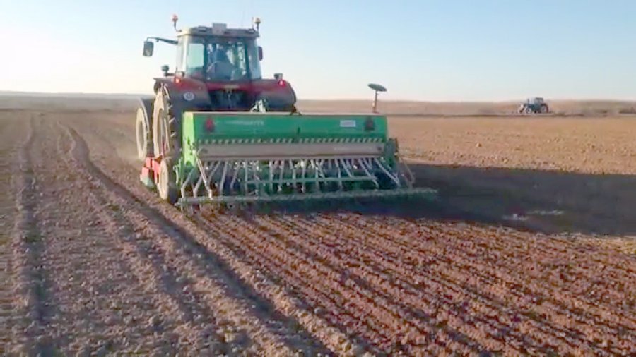 FOTO ARCHIVO TRIGO. Si el clima acompaña, promete una campaña muy buena.