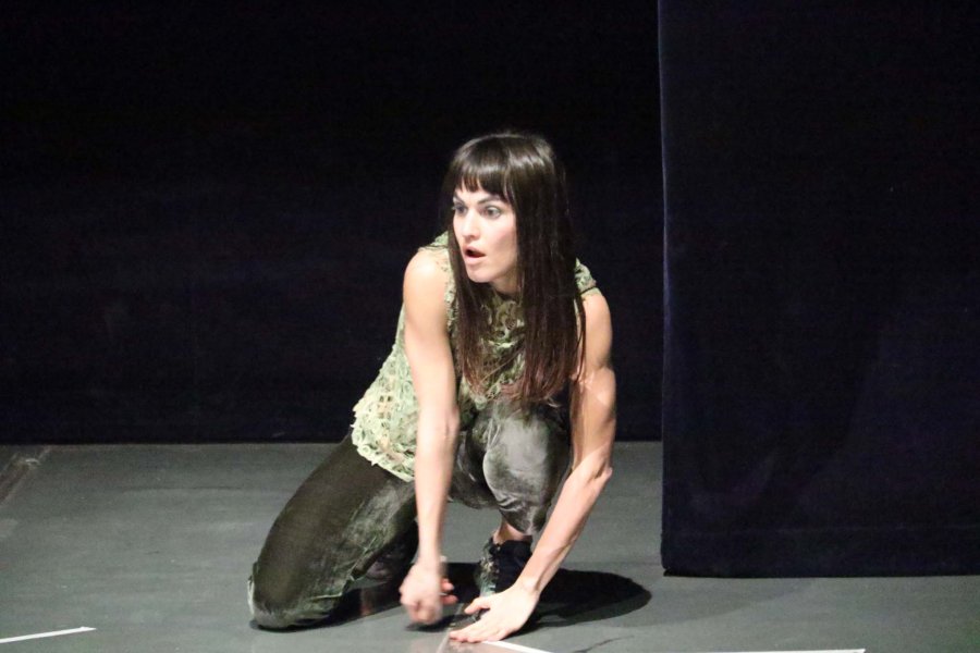 FOTO J. BARRERA PALINDROMA./ Interpretada por la rafaelina Margarita Molfino.