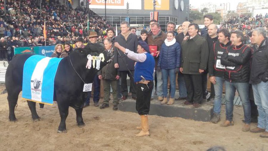 FOTO LA VOZ FESTEJO. Los propietarios del toro criado en Bell Ville celebran su premio como el mejor de la raza Brangus en Palermo 2018.