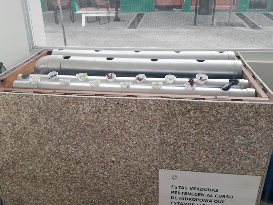 FOTO IDS RACK DE HIDROPONIA./ Esta pequeña infraestructura en el hogar.