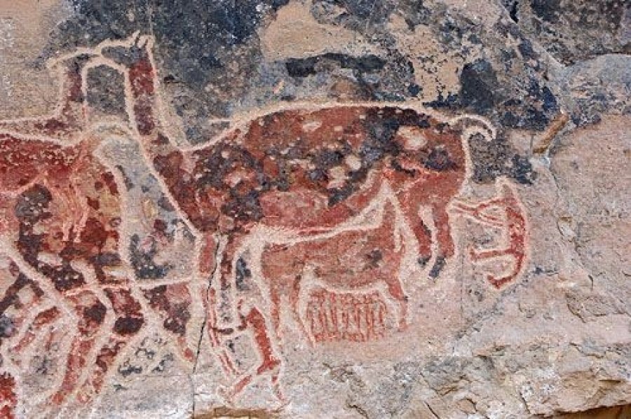 FOTO ARCHIVO// ARTE RUPESTRE//Las llamas, indiscutibles protagonistas.