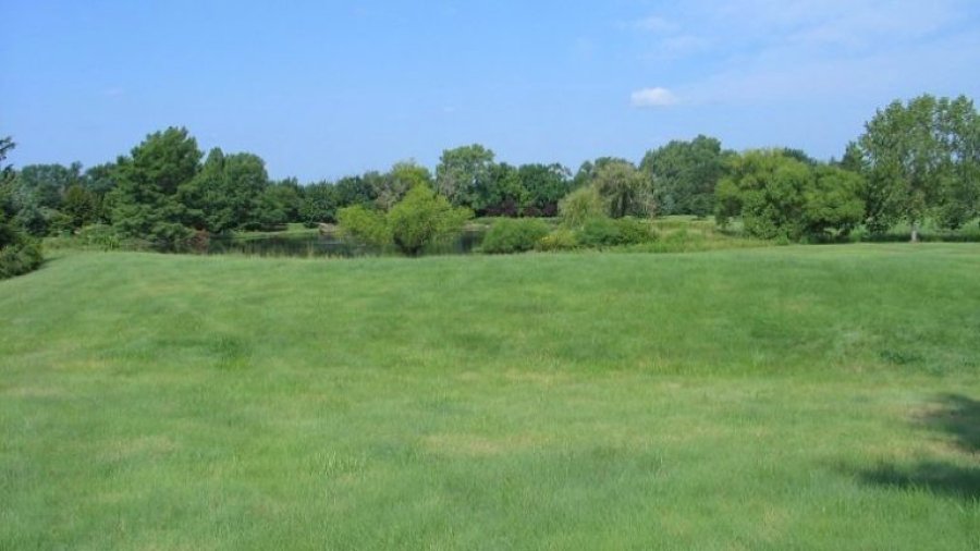 FOTO SLT FAUBA ALTERNATIVA. Los céspedes nativos pueden reemplazar los paquetes de coberturas exóticas para canchas de fútbol, golf, rugby y espacios verdes.