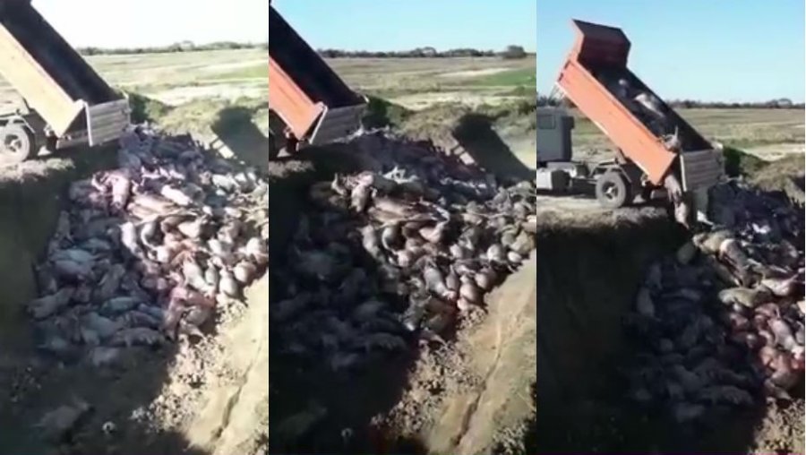 FOTO INTERNET