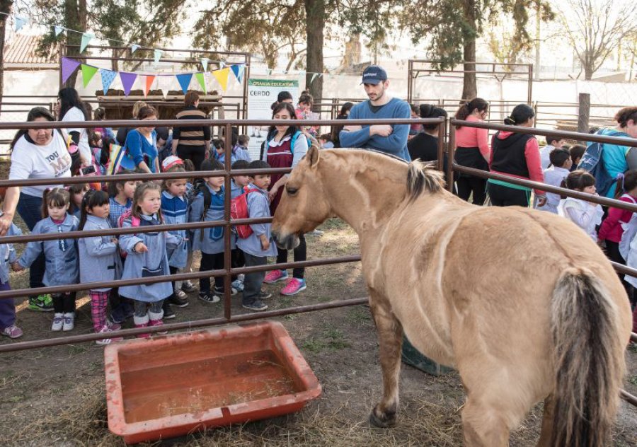 FOTO EXPORURAL GRANJA EDUCATIVA./ La propuesta convoca a chicos y grandes.