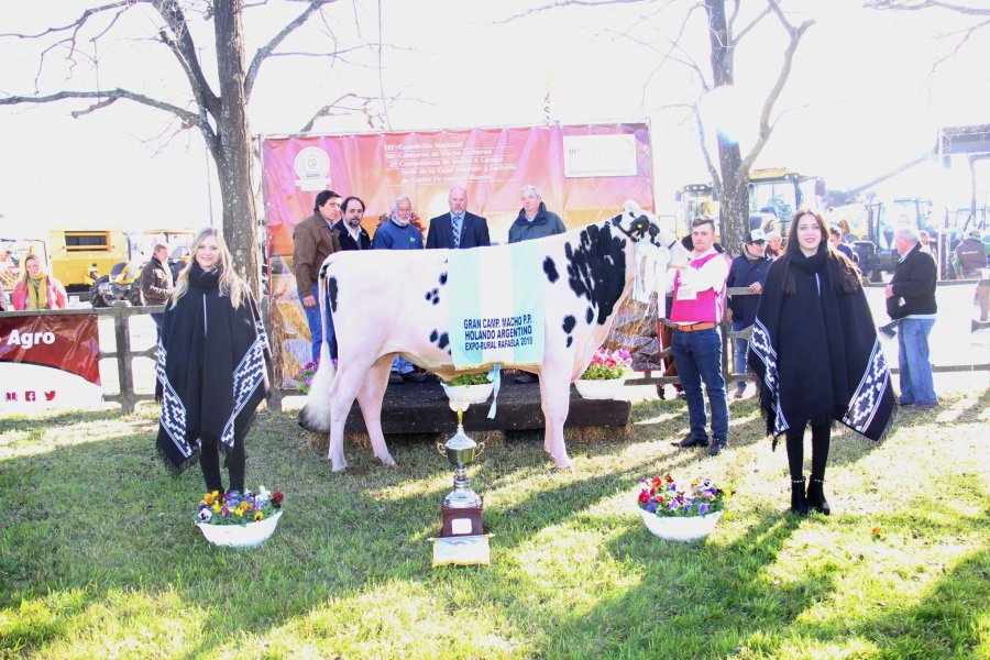 FOTO J. BARRERA CAMPEON MACHO./ El premio fue para la Cabaña La Magdalena de la familia Felissia de Rafaela.