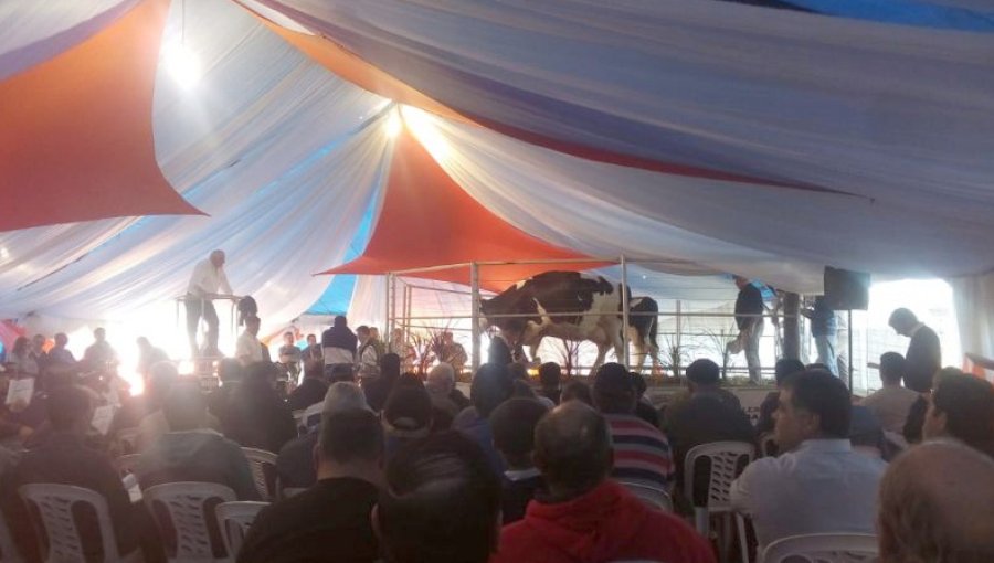 FOTO SRR REMATE./ Se vendió a $ 185.000 y el martillero fue Miguel Romano.