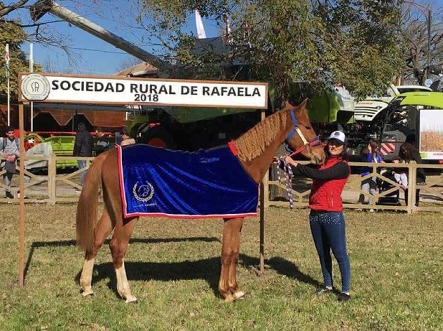 FOTO SRR EQUINO./ Uno de los premiados ayer en la Expo Rural.