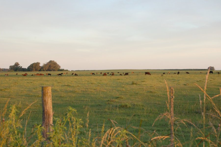 FOTO SEMANARIOJUNIN INTERROGANTE./ ¿Quién pagará las retenciones ambientales?