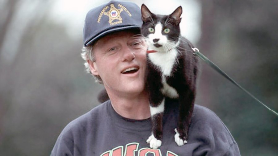 FOTO ARCHIVO SOCKS. El gato que fue mascota de Bill Clinton.