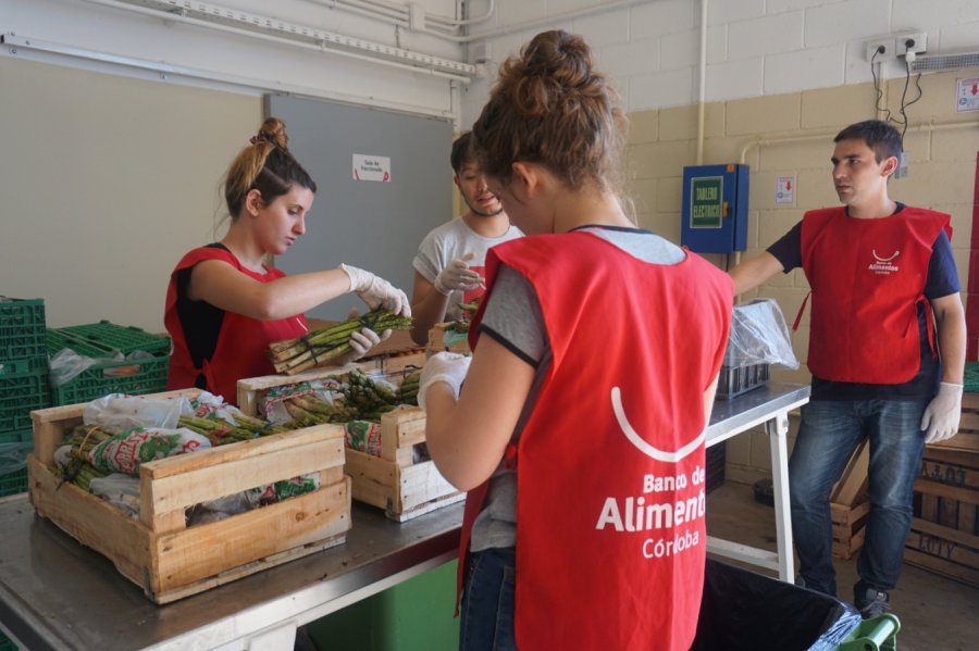 archivo Red Banco de Alimentos