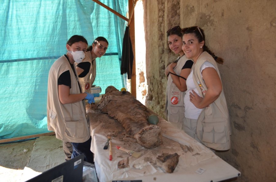 archivo Instituto de Estudios del Antiguo Egipto