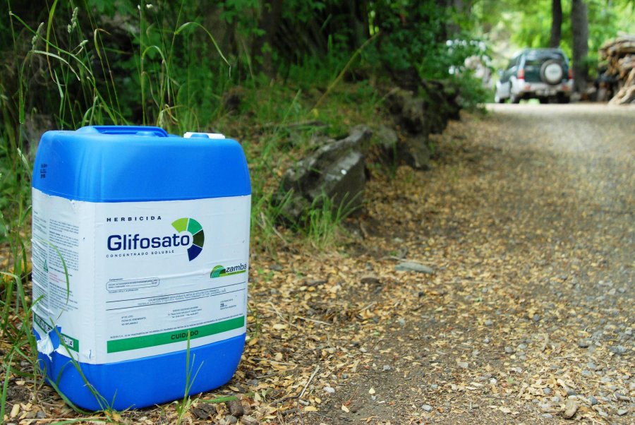 FOTO ARCHIVO GLIFOSATO. Está acusado de provocar cáncer, pero hasta ahora pocos países lo prohíben.