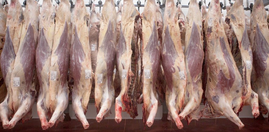 FOTO INTERNET FAENA. Señales de alerta antes distintas situaciones.