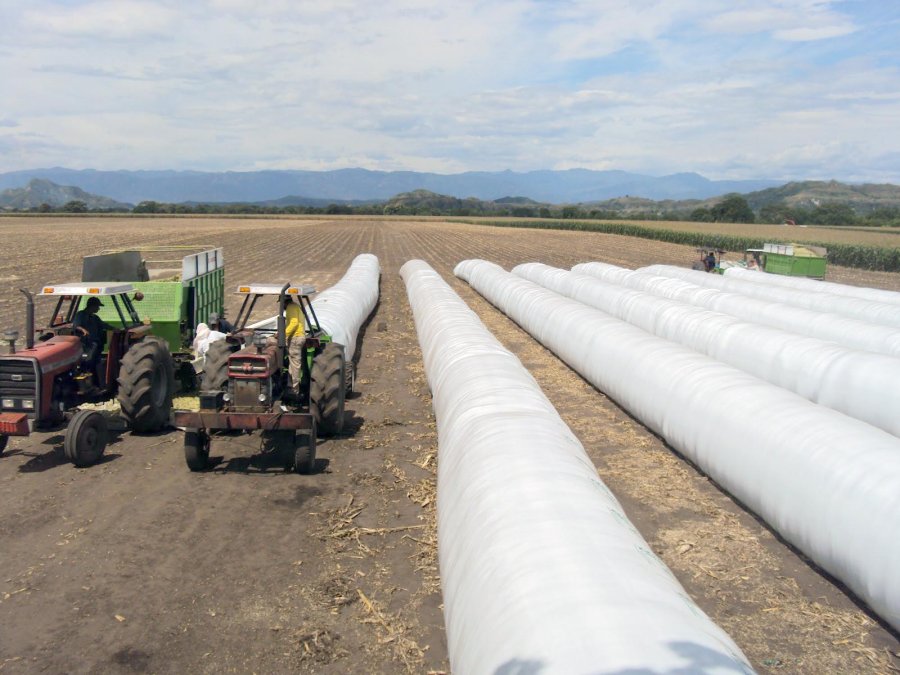 FOTO ARCHIVO SILO BOLSAS. La importancia del almacenamiento.