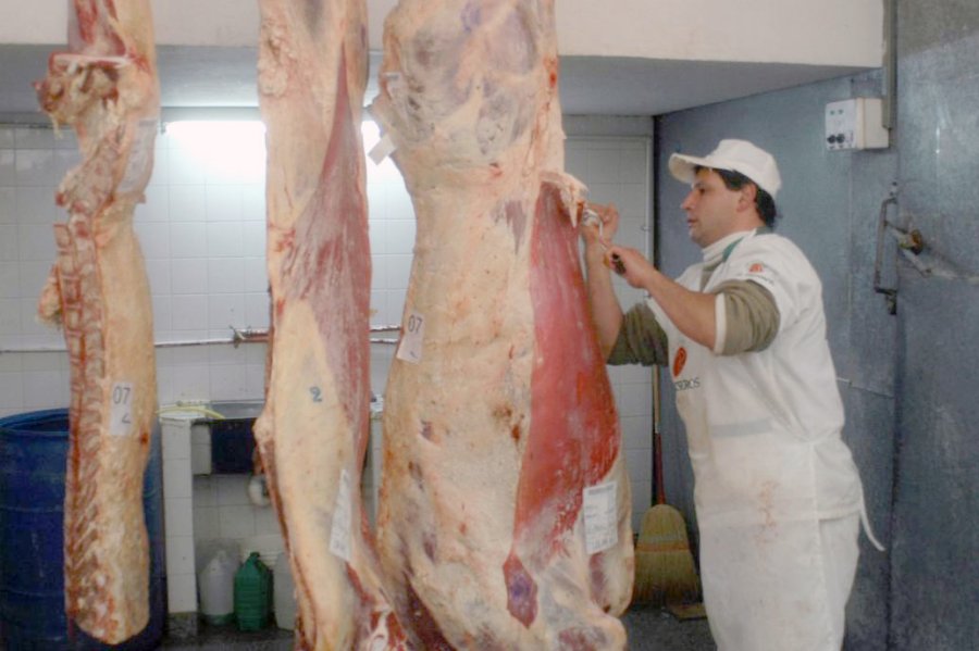 FOTO INTERNET CARNE VACUNA. China sigue aspirando volúmenes inéditos de carne vacuna.