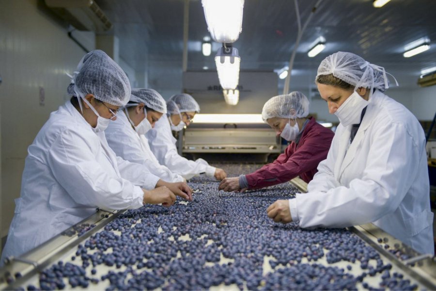 FOTO ARCHIVO  TRABAJO DECENTE. Una imperiosa necesidad para romper con la esclavitud.