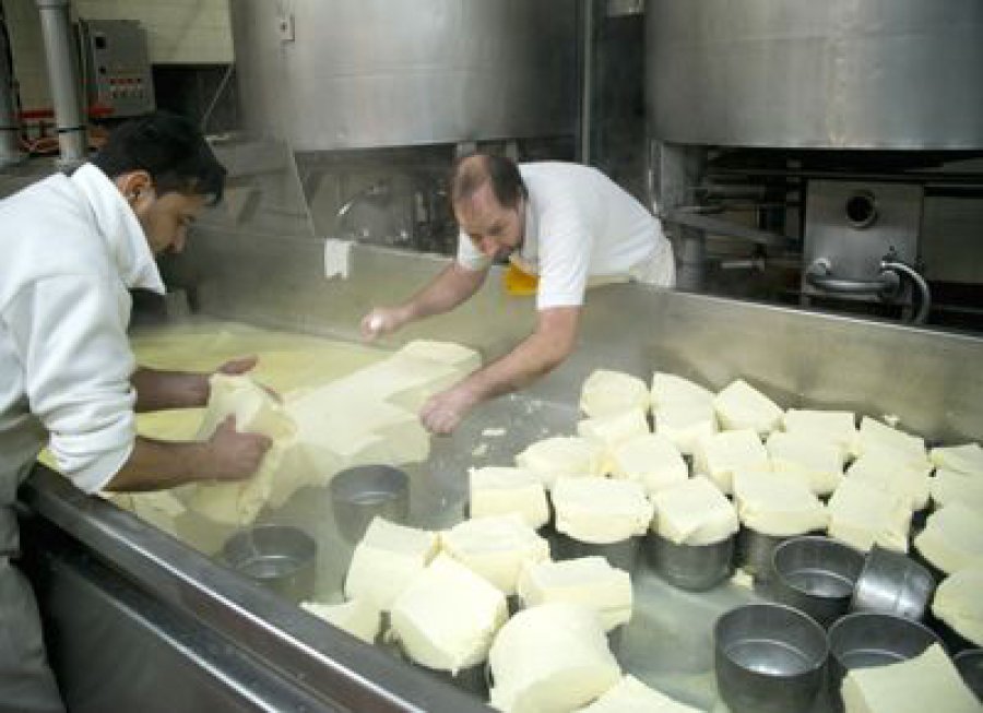 FOTO INTERNET QUESO. La actividad, en cuanto a precios, se presenta esperanzadora.