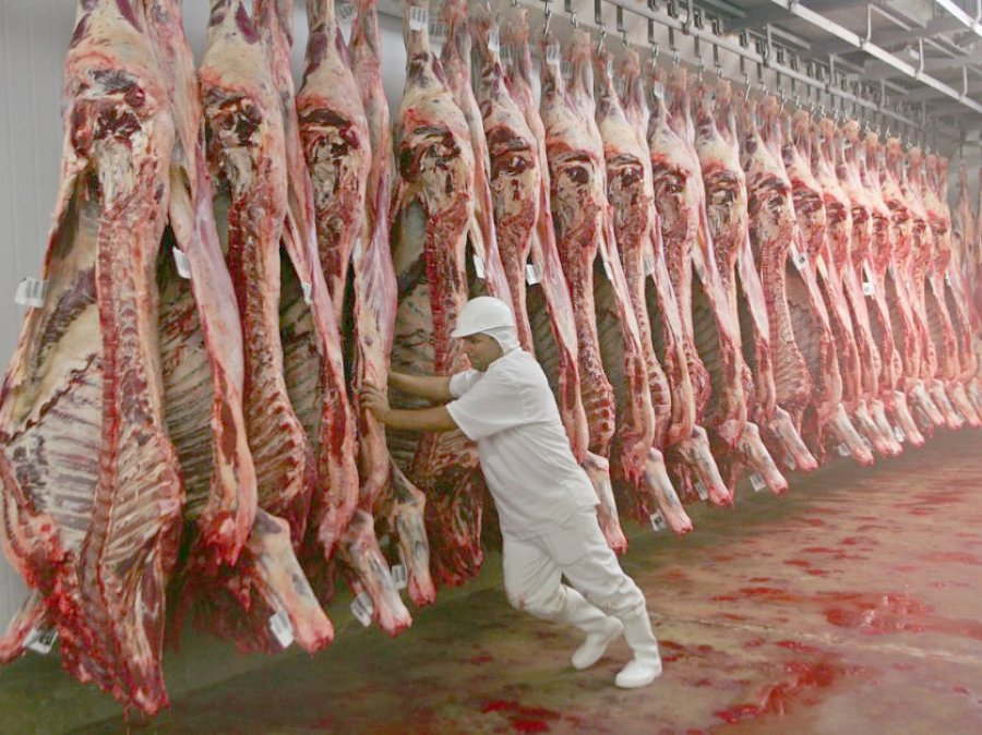TRABAJADORES DE LA CARNE. Hoy 10 de junio los trabajadores del sector festejan su d&iacute;a.