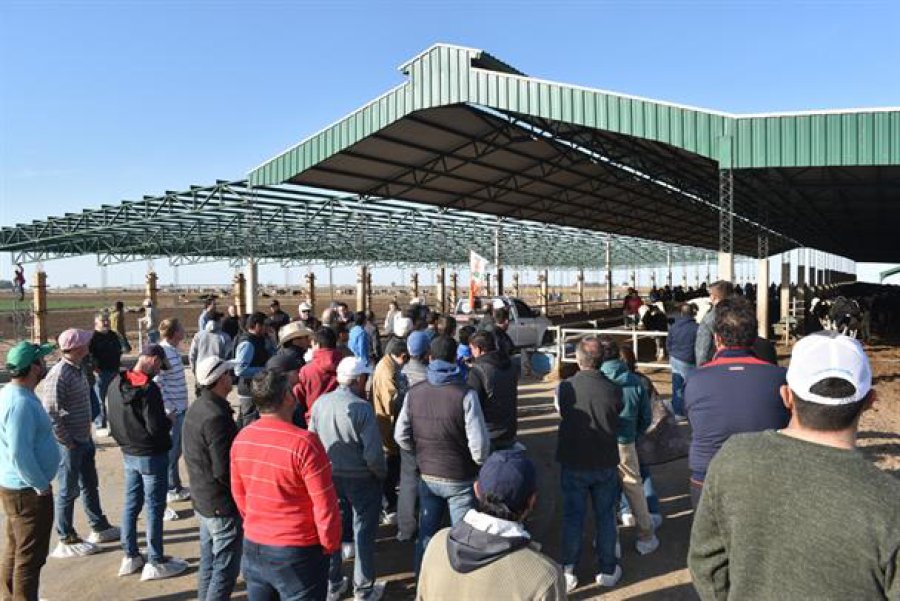 FOTO ARCHIVO ALGO SIMILAR. Esta vez con un recorrido por enclaves de producción intensiva, y lechería de precisión.