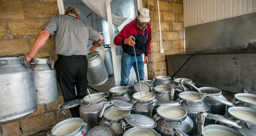 FOTO ARCHIVO INDUSTRIA LACTEA.  Hay continuidad en procesos de inversión y crecimiento.