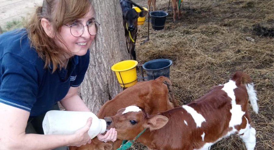 FOTO ARCHIVO MUJERES EN EL TAMBO. Una actividad con importante presencia.