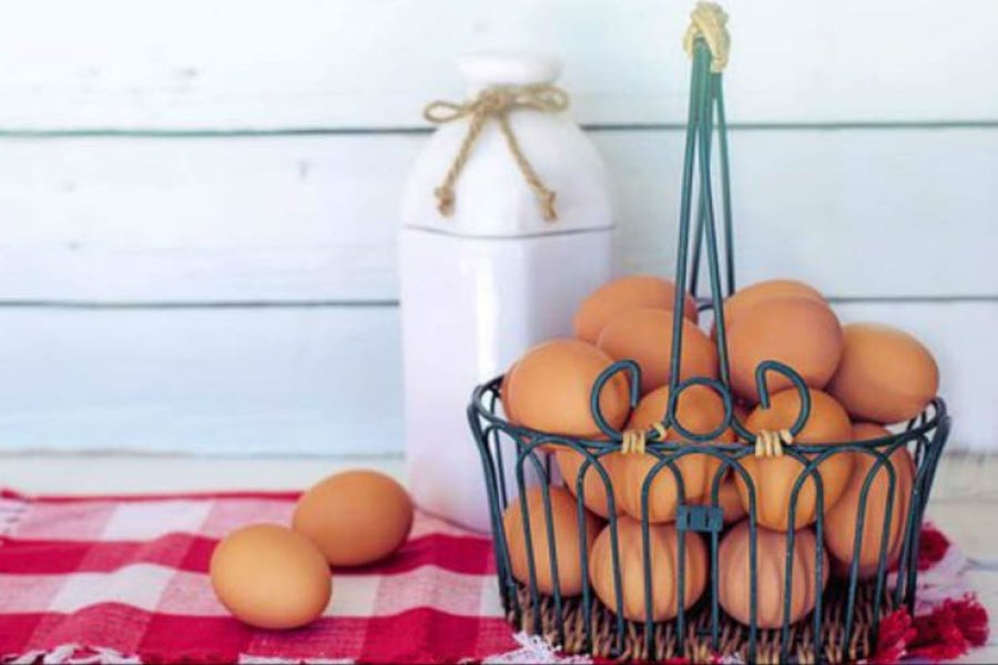 FOTO INTERNET SECTOR AVICOLA. Los productores de huevo esperan la rebaja del IVA.