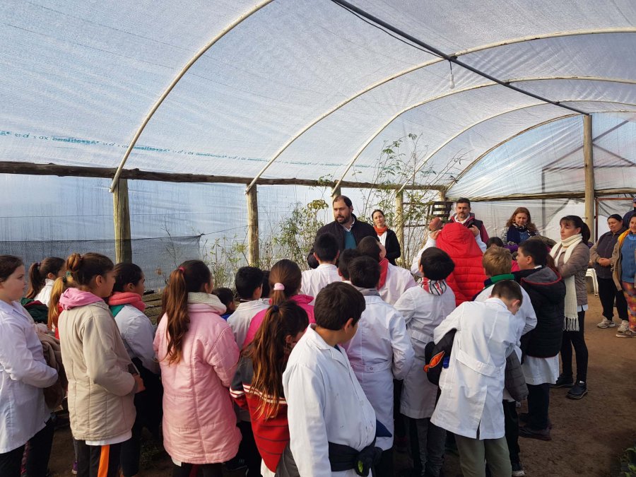 FOTO PRENSA COMUNA// PAVIMENTO./ La obra ejecutada en calle Lisandro de la Torre. VIVERO./Alumnos y docentes de la Escuela 382 lo recorrieron.