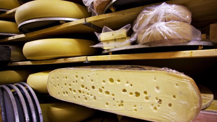 FOTO ARCHIVO QUESOS. Ventas de grandes empresas, hicieron bajar precios en puerta de fábrica.