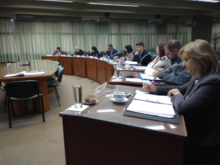 FOTO PRENSA CONCEJO MINI SESION. La reuni&oacute;n de los concejales fue un tr&aacute;mite.
