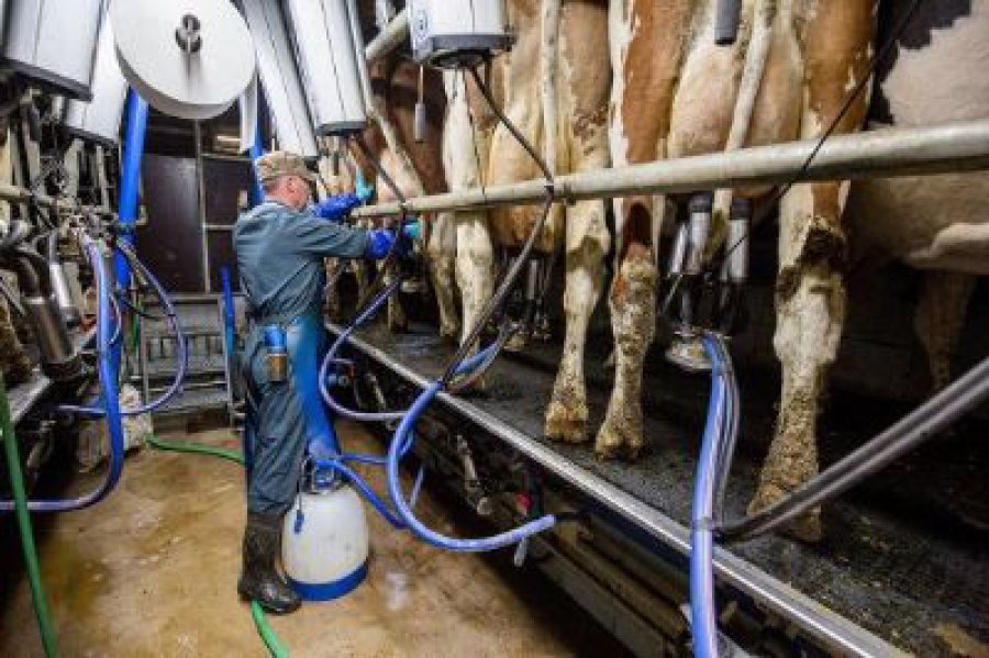 FOTO INTERNET NUTRICION. La importancia que adquiere.